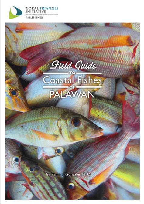 biggest fish in philippines|Marine fishes of Palawan, Philippines: Species diversity, new .